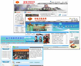 地方稅務(wù)局互聯(lián)網(wǎng)網(wǎng)站軟件開(kāi)發(fā)及系統(tǒng)集成的網(wǎng)絡(luò)與信息安全軟件開(kāi)發(fā)實(shí)踐